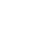 scottsdale mint logo