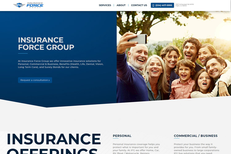 Insurance Force Group