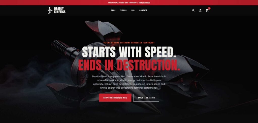 Screenshot of the deadly kinetics website.